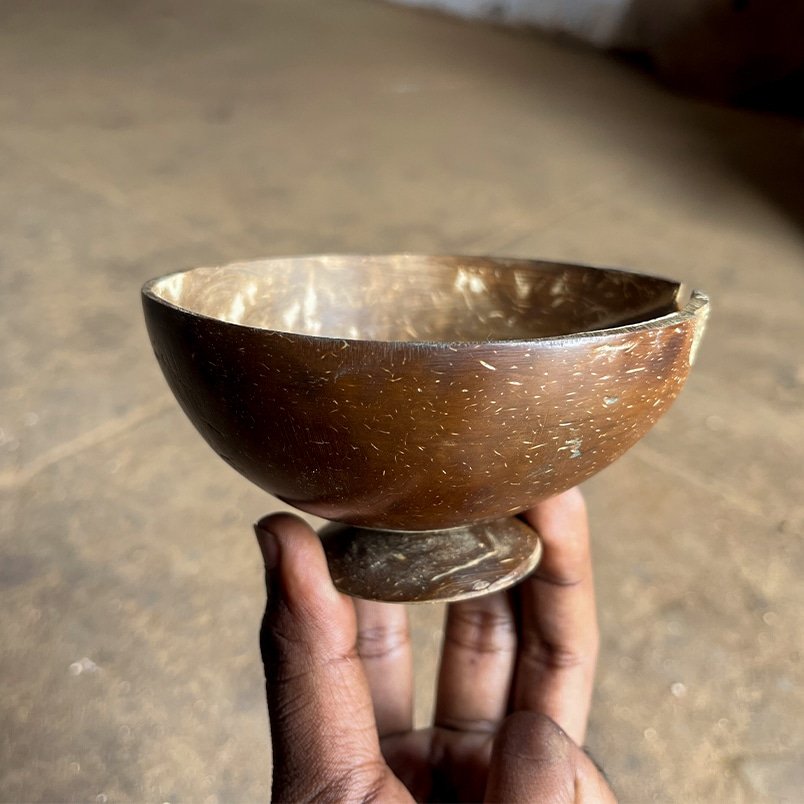 Top 5 Benefits of Using Coconut Coir in Agriculture