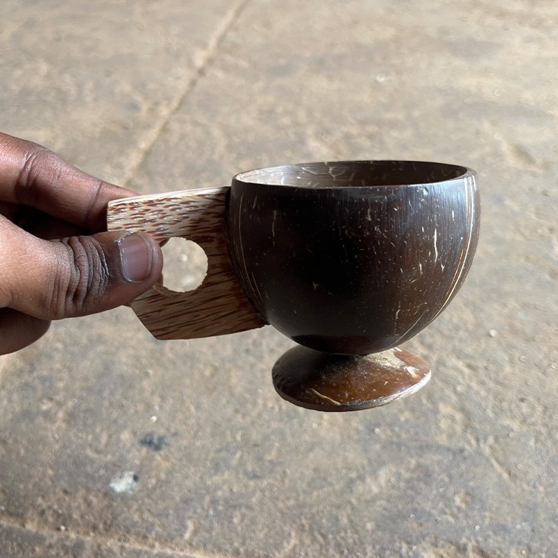 Sustainable Gardening with Coconut Coir: Tips & Tricks for Beginners