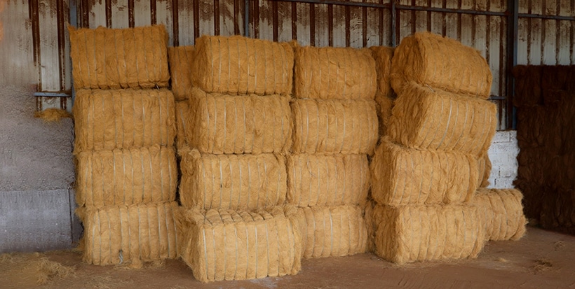 coconut coir fiber