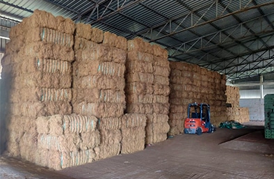 coir fiber