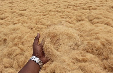 brown coir fiber