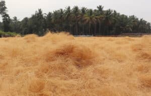 coir fiber exporter india