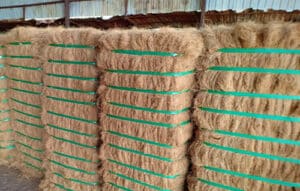 Coir Fiber