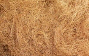 raw coir fiber supplier