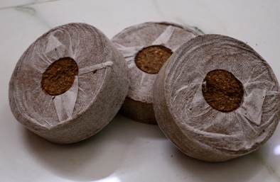 Coir Plugs Blocks