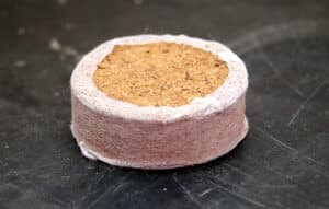 seed starting coir plugs