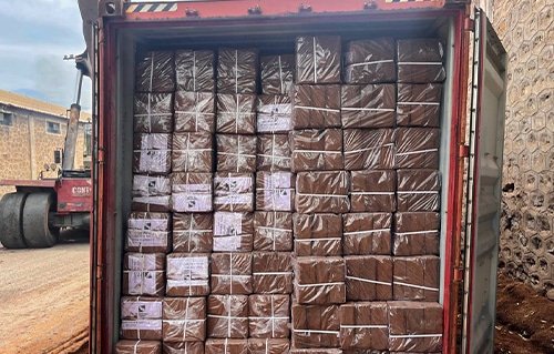 cocopeat block manufacturer