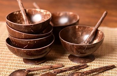Coconut Shell-Bowl