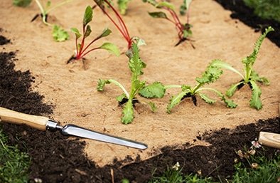 mulch-mat