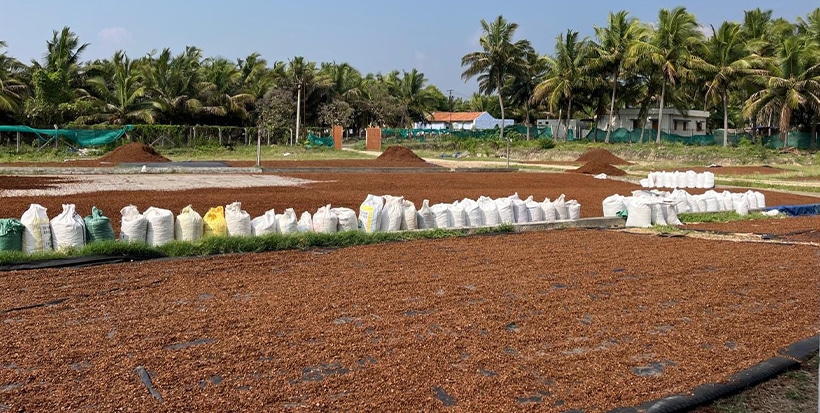 Coco Husk 5kg blocks