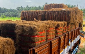 coir fiber bulk supplier