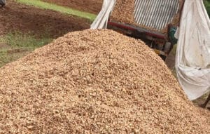 coconut husk block wholesale export